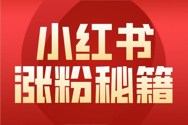 小红书是如何运营的？